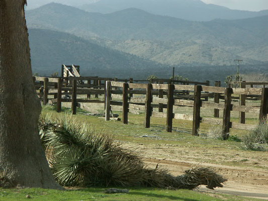 pioneertown 007