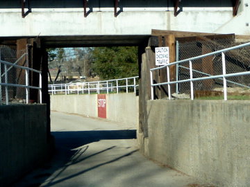 P1230925