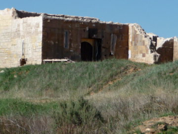 P1230761