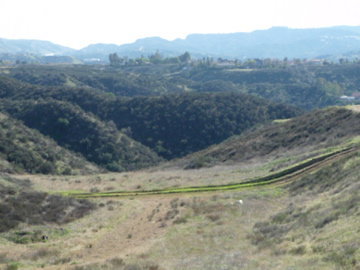 P1230755