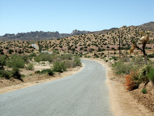 PICT0038
