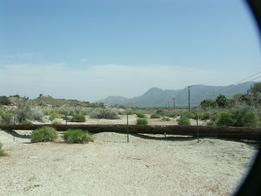 2005-03-02, aerie art garden
