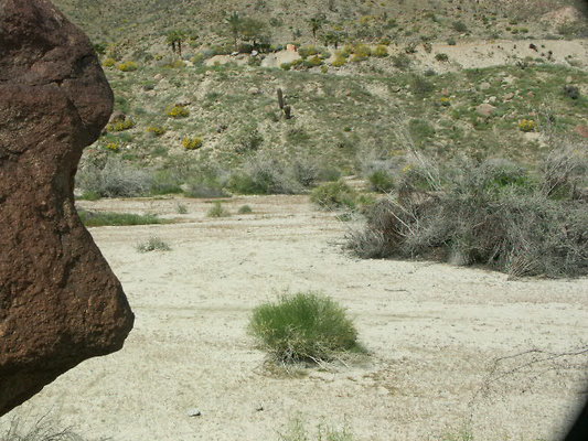 aerie art garden 026