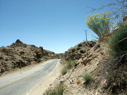 PICT0081