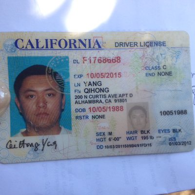 YangCDL
