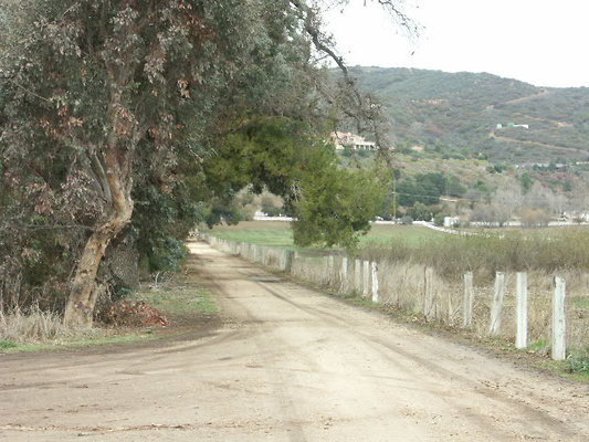 g081