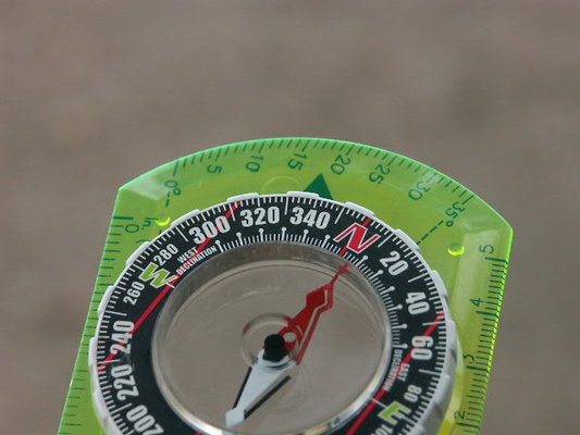 g098