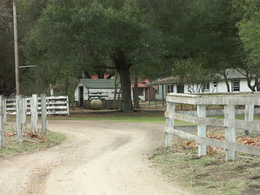 g013