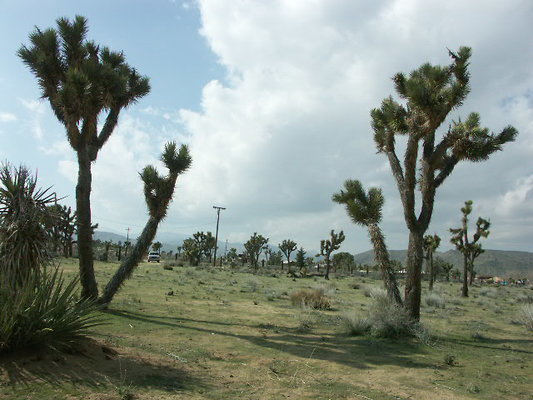 hayden ranch 015