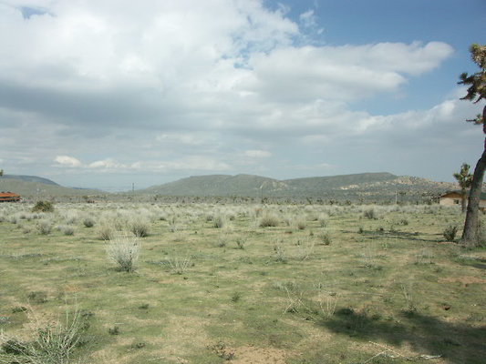hayden ranch 012
