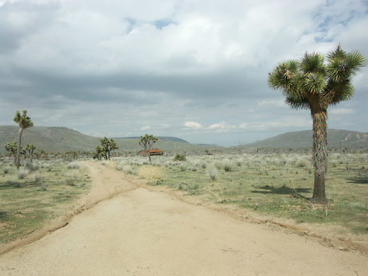 hayden ranch 011