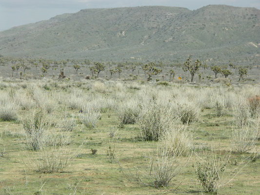 hayden ranch 014