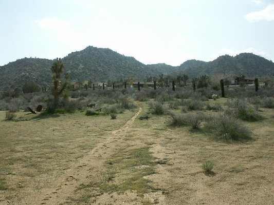 hayden ranch 048