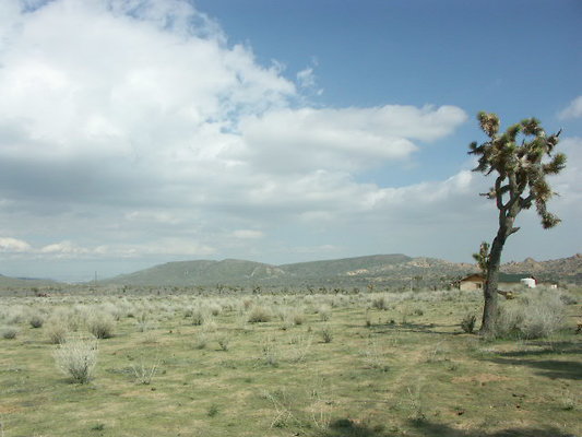 hayden ranch 013