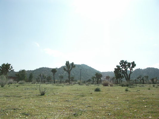 hayden ranch 062