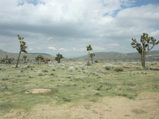 hayden ranch 007