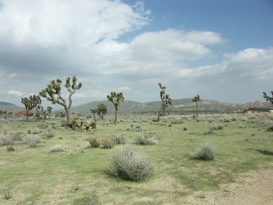 hayden ranch 006