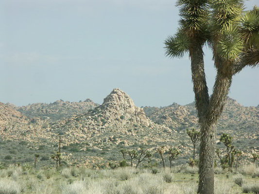 hayden ranch 067