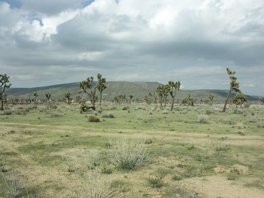 hayden ranch 057