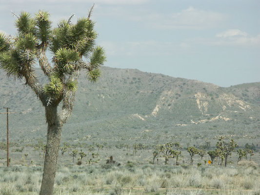 hayden ranch 005