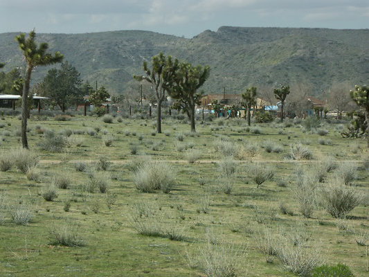 hayden ranch 031