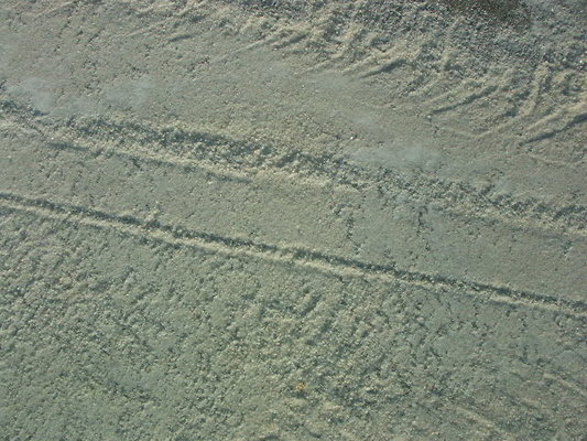 superior salt flats1 029